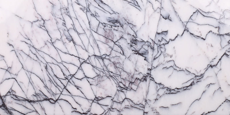 Violeta Polished 30 x 60 x 1.25 cm Field Tile