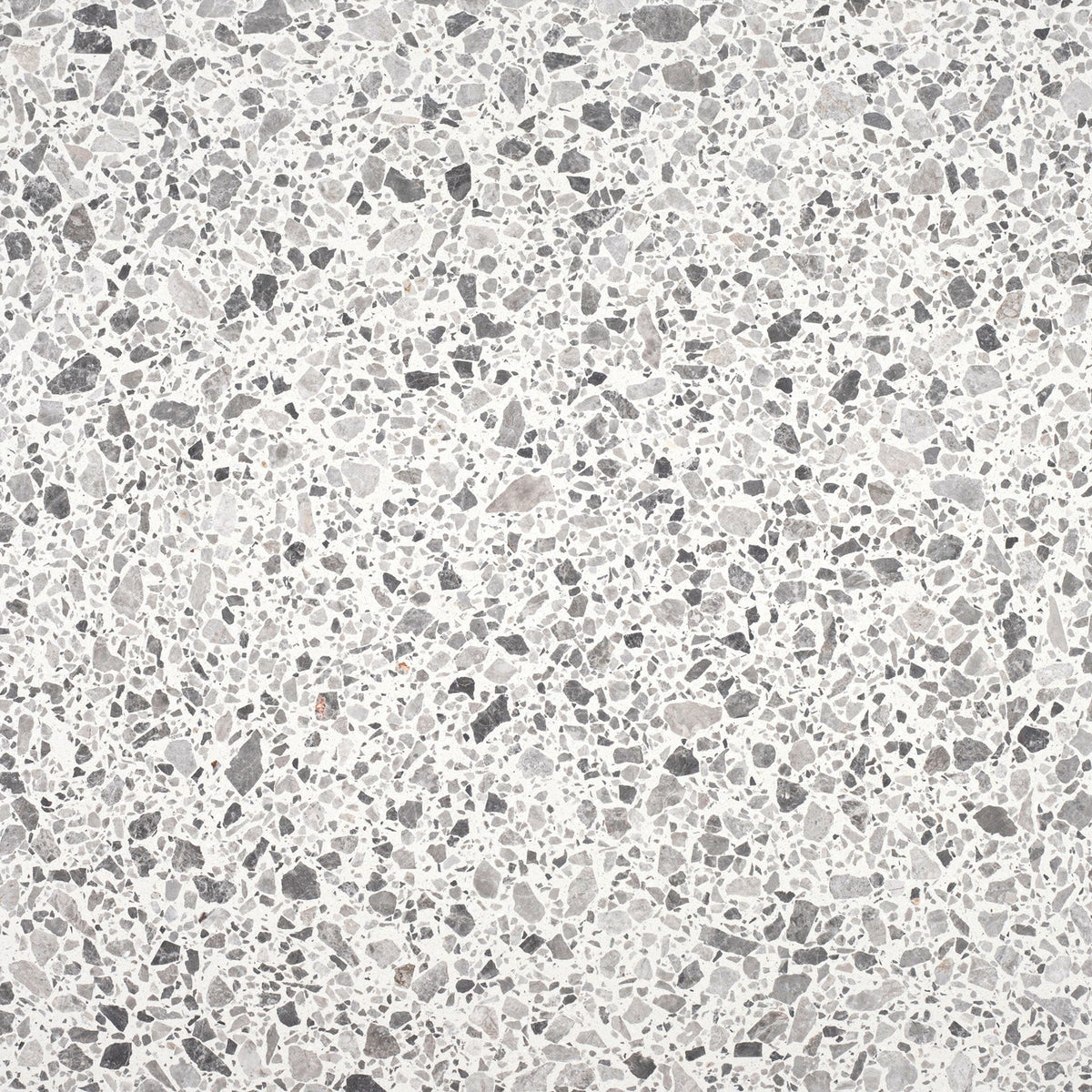 Tundra Grey Honed 60 x 60 x 1.25 cm Terrazzo Field Tile #24 