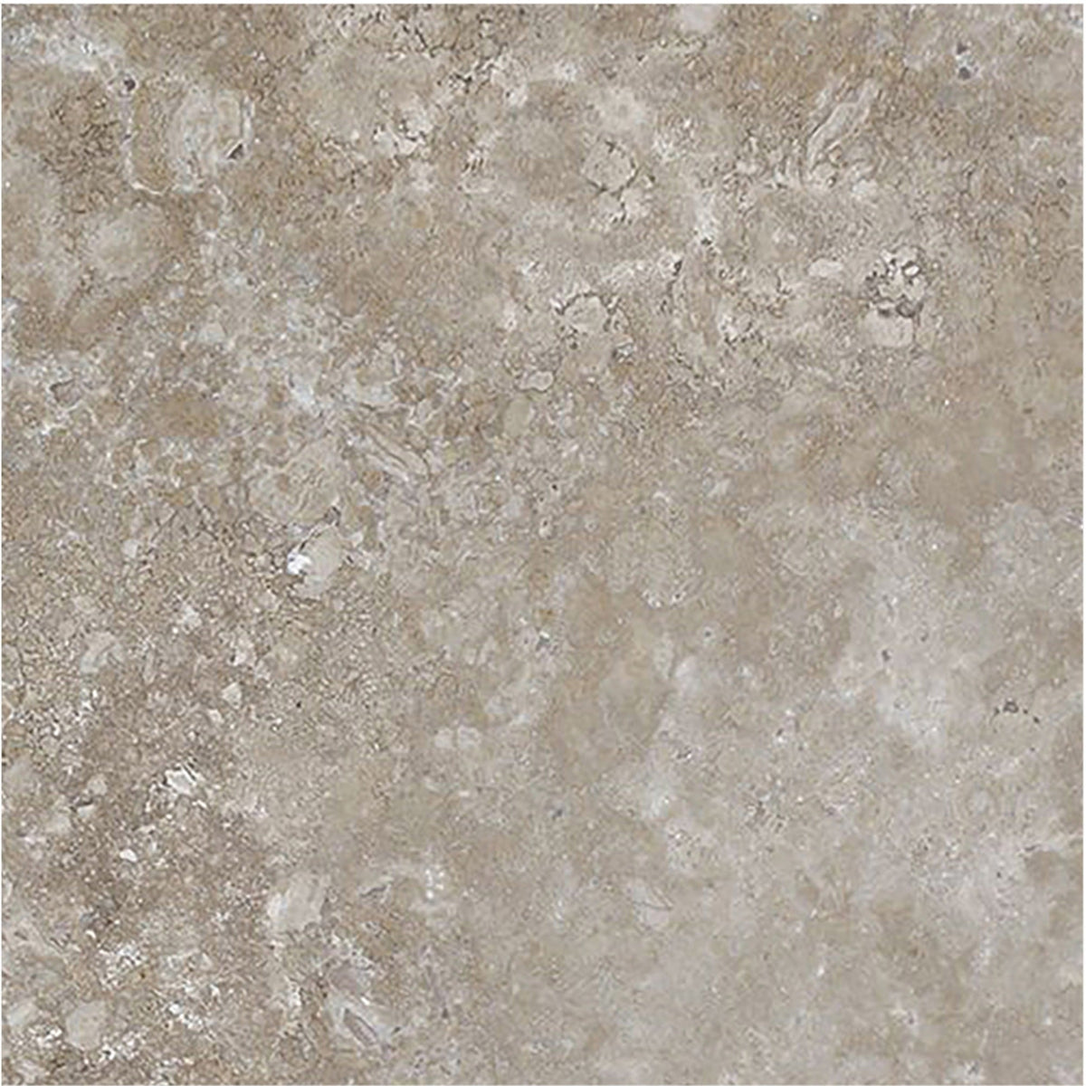 Noce Dark CC Honed 15 x 15 x 1 cm Field Tile 