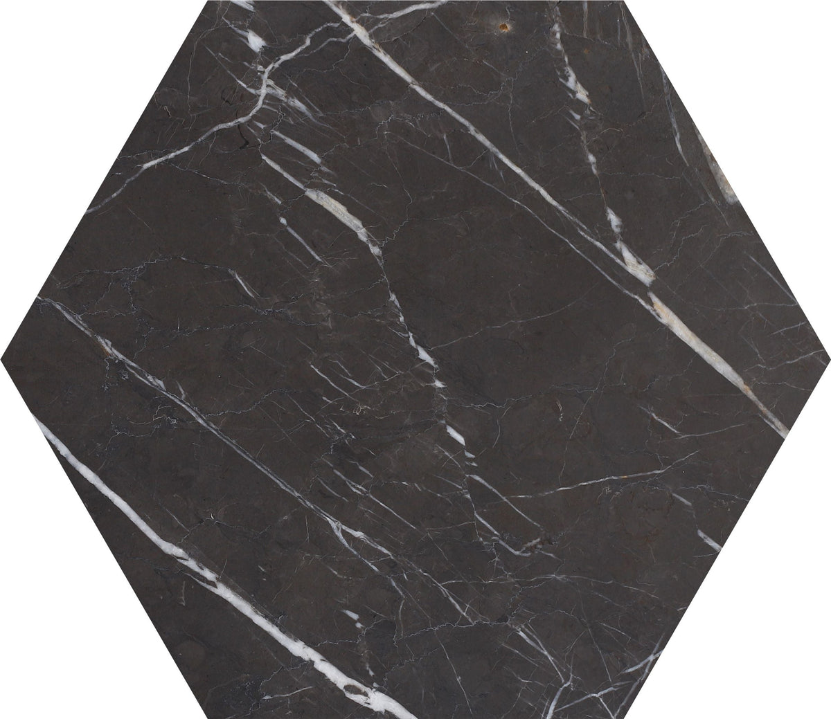 Mount Grey Plain Polished Hexagon 25 x 1 cm Field Tile 