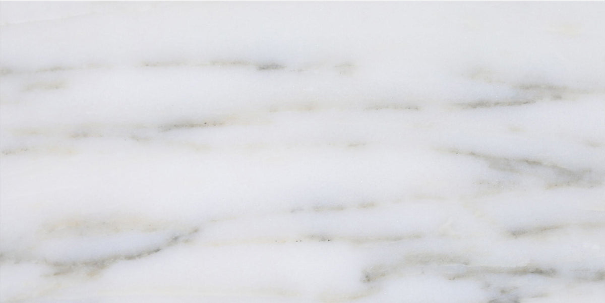 Calacatta Vida Honed 15 x 30 x 1 cm Field Tile 