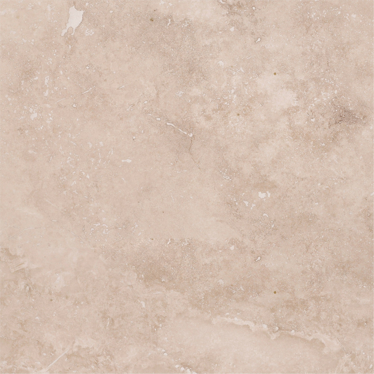 Classic Light CC Honed 45 x 45 x 1.25 cm Field Tile 