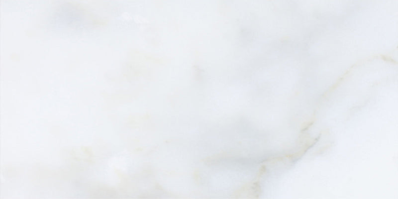 Calacatta Vida Honed 15 x 30 x 1 cm Field Tile