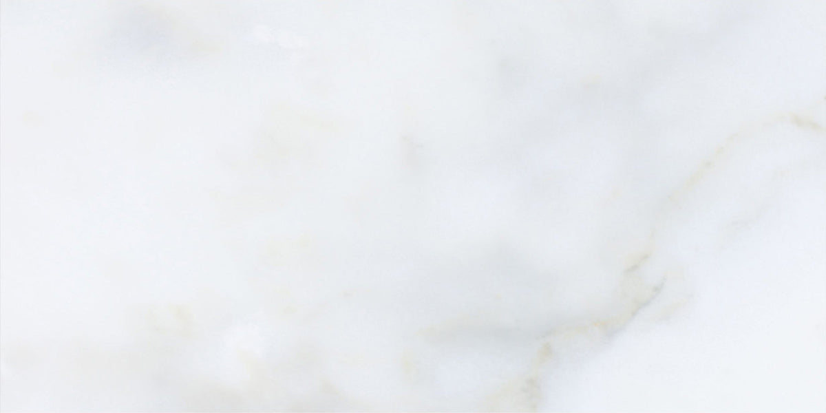 Calacatta Vida Honed 15 x 30 x 1 cm Field Tile 