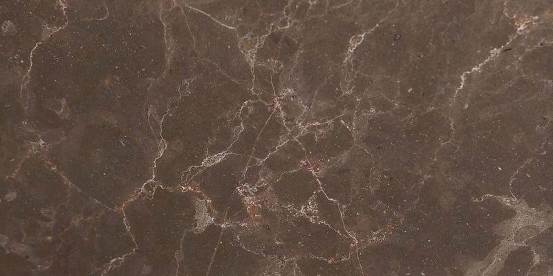 Chocolate Bronze
