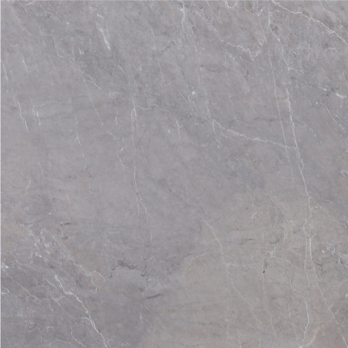 Earth Grey Honed 30 x 30 x 1 cm Field Tile 