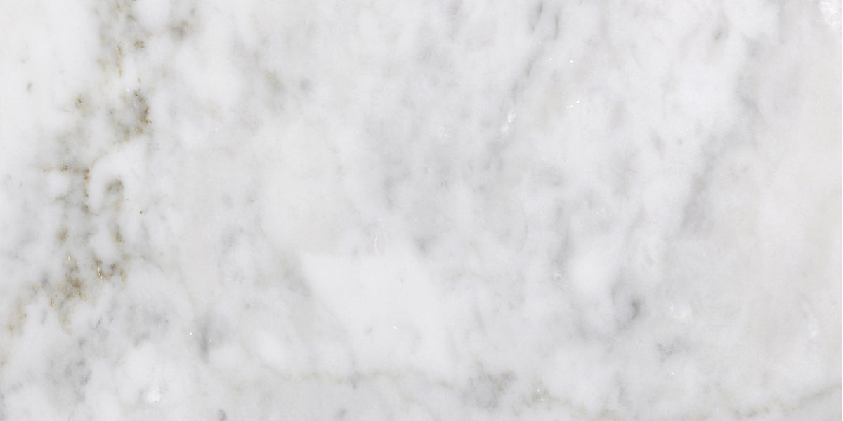 Bianco Carrara Honed 15 x 30 x 1 cm Field Tile 