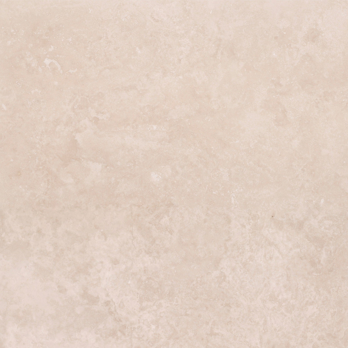 Classic Light CC Honed 45 x 45 x 1.25 cm Field Tile 
