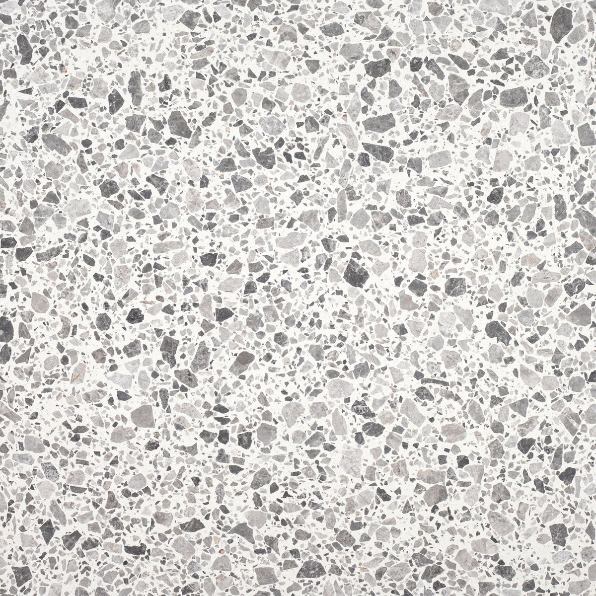 Tundra Grey Honed 60 x 60 x 1.25 cm Terrazzo Field Tile #24 