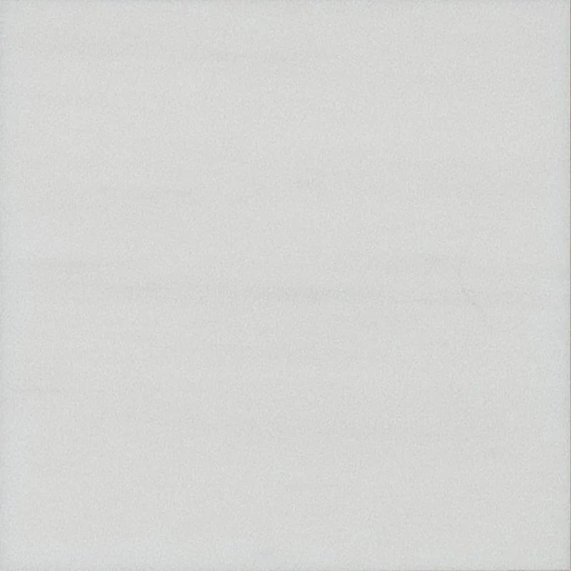 Glacier White Honed 10 x 10 x 1 cm Field Tile 
