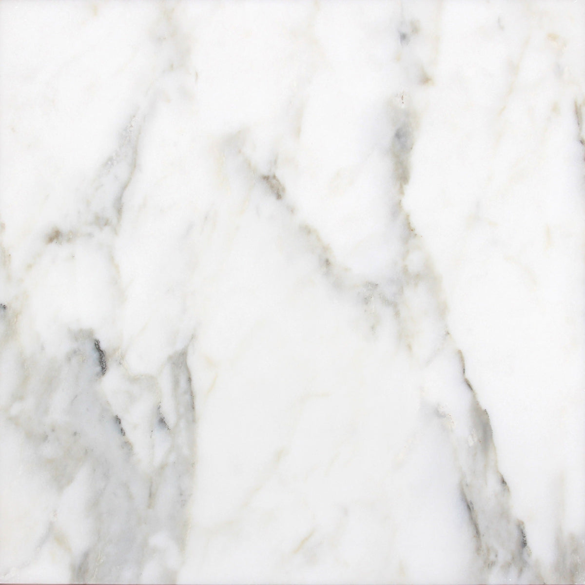 Calacatta Vida Honed 60 x 60 x 1.25 cm Field Tile 