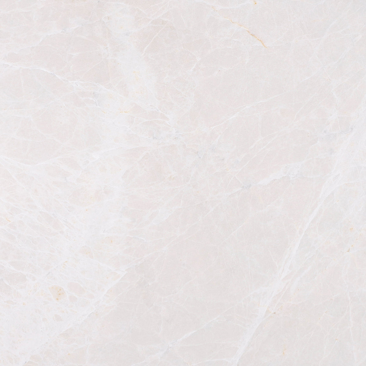Moon Cream Honed 30 x 30 x 1 cm Field Tile 