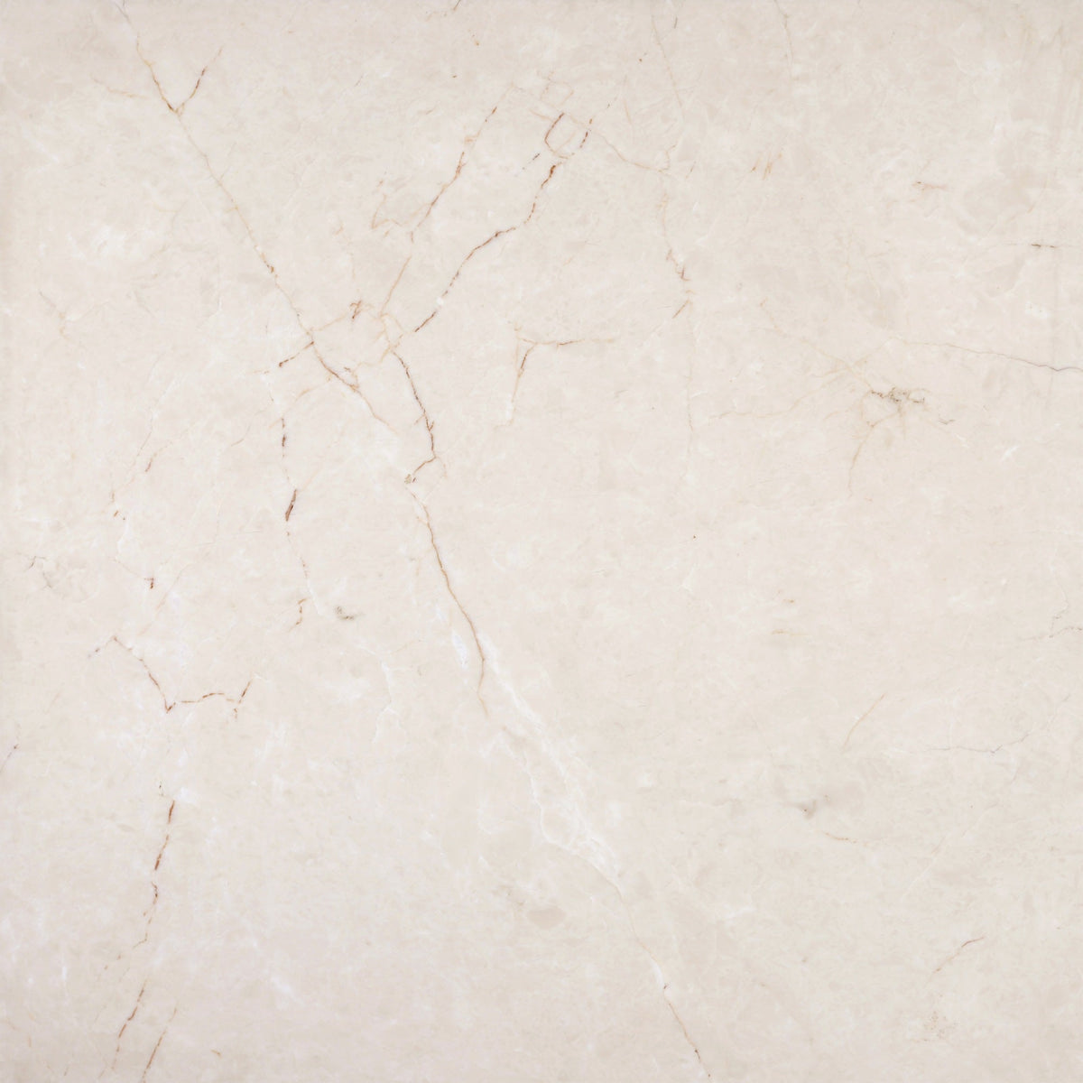 Crema Ella Honed 60 x 60 x 1.5 cm Field Tile 