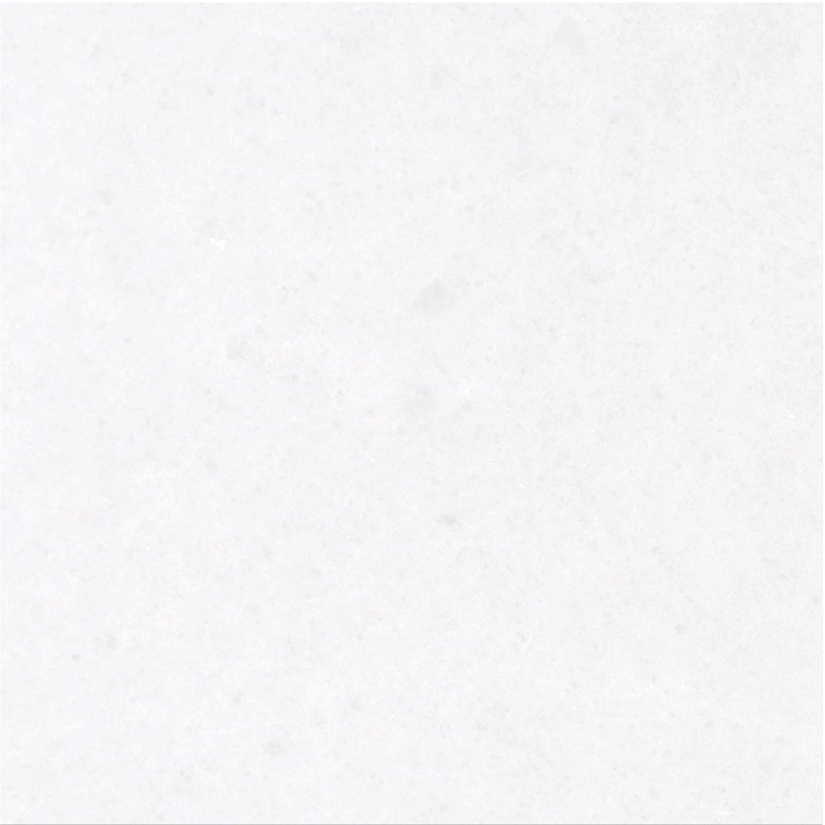 Snow White Honed 30 x 30 x 1 cm Field Tile 