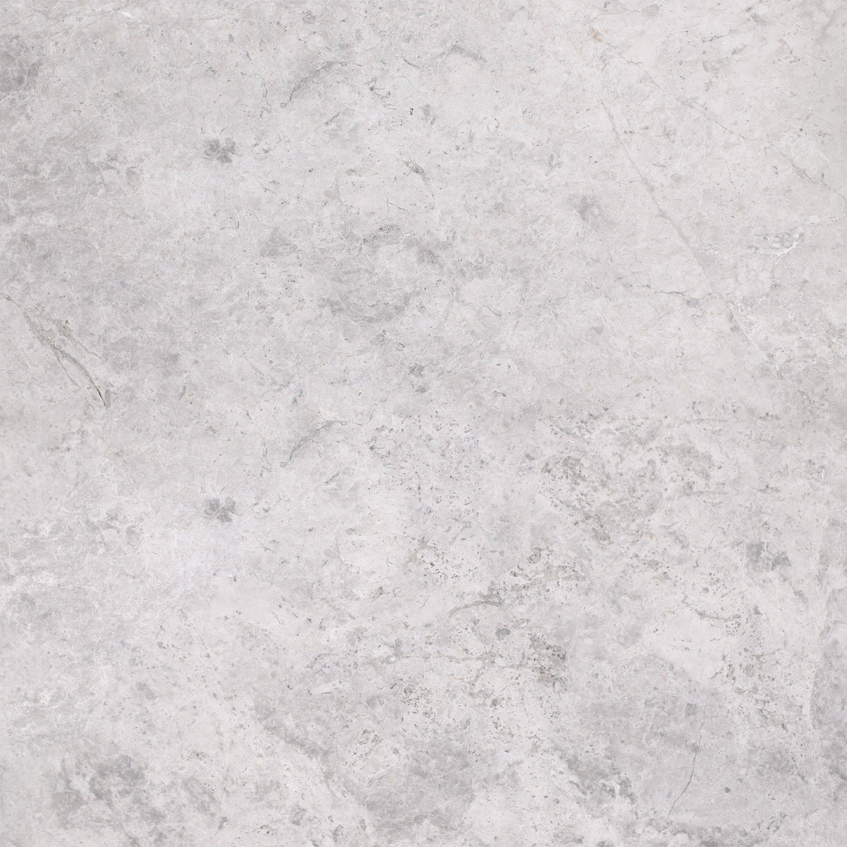 Tundra Grey Honed 60 x 60 x 1.5 cm Field Tile 