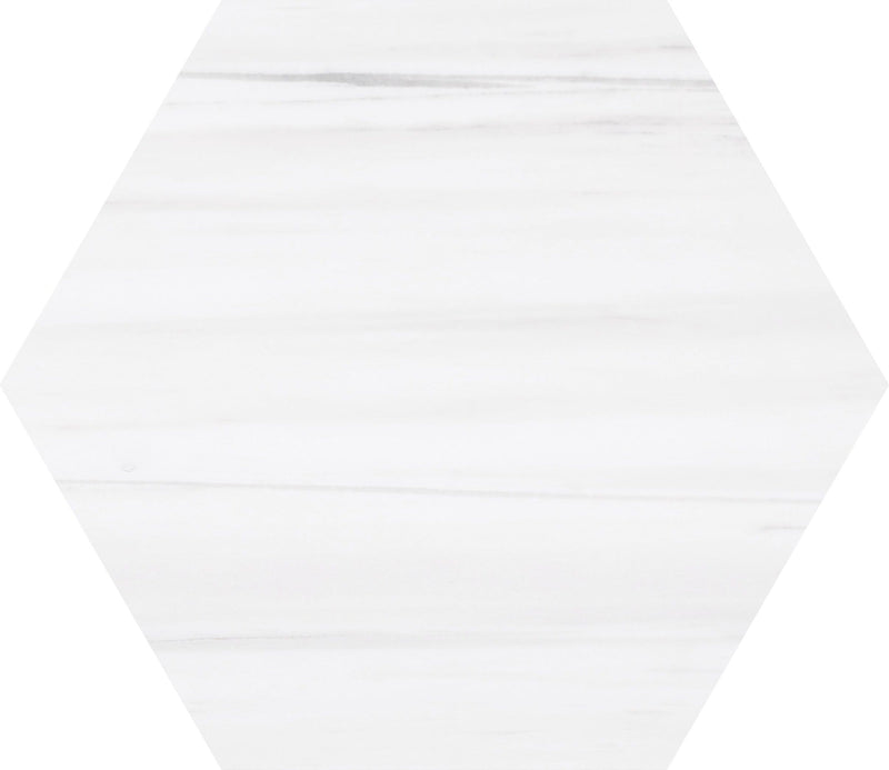 Glacier White Honed Hexagon 25 x 1 cm Field Tile