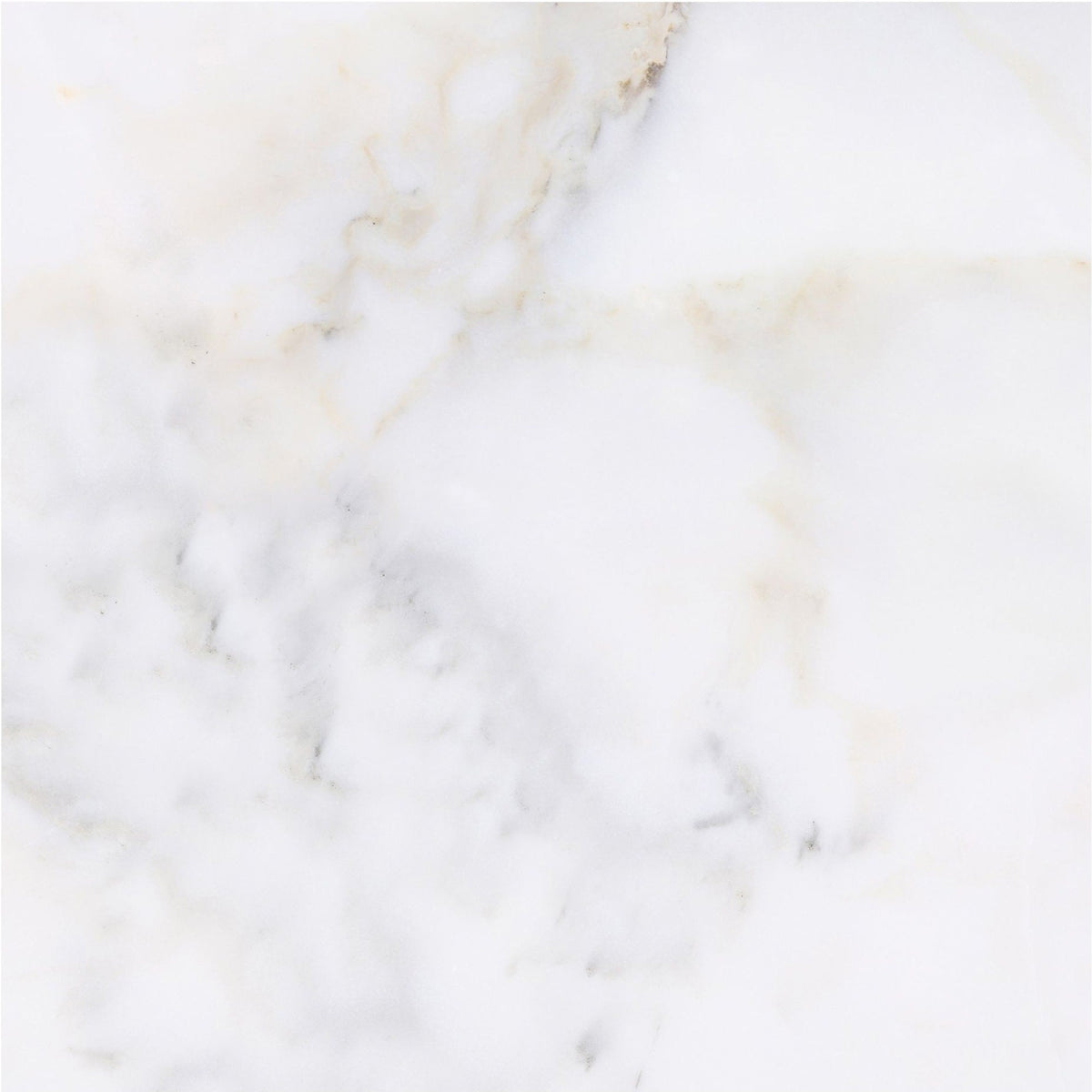 Calacatta Vida Honed 45 x 45 x 1 cm Field Tile 