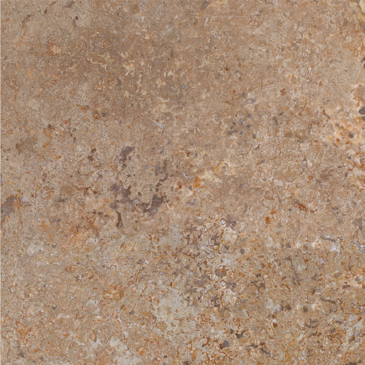 Kona Brown CC Honed 45 x 45 x 1.25 cm Field Tile 