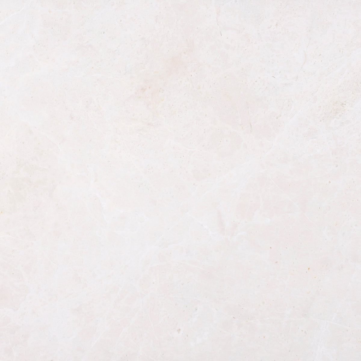 Moon Cream Honed 30 x 30 x 1 cm Field Tile 