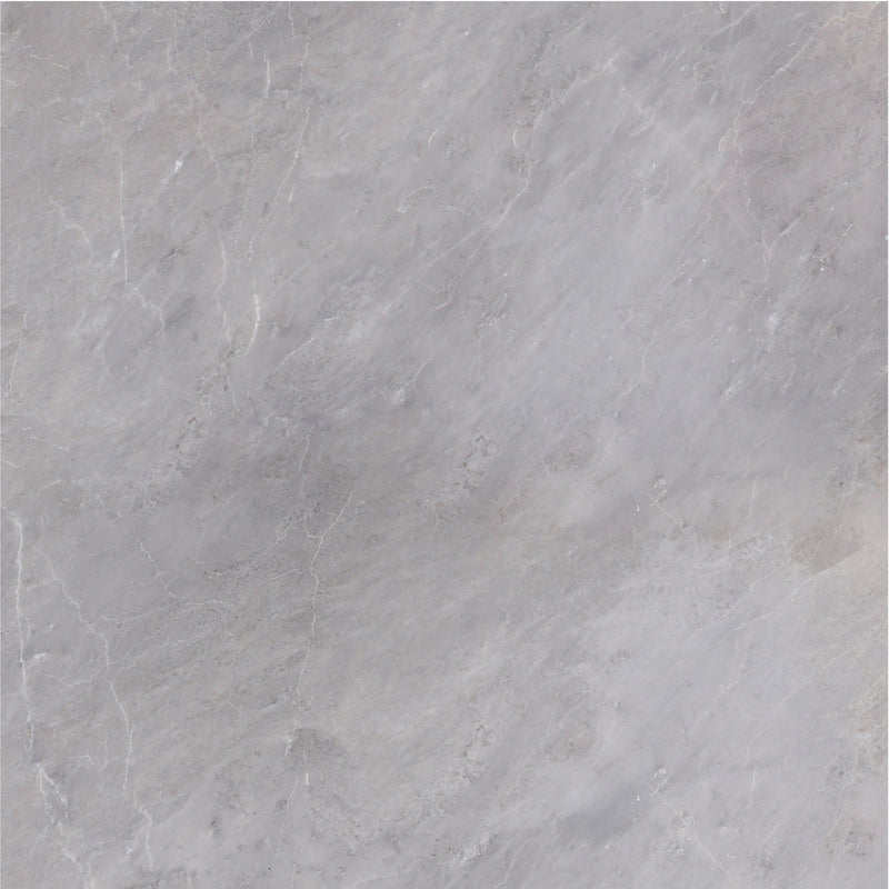 Earth Grey Honed 45 x 45 x 1.25 cm Field Tile