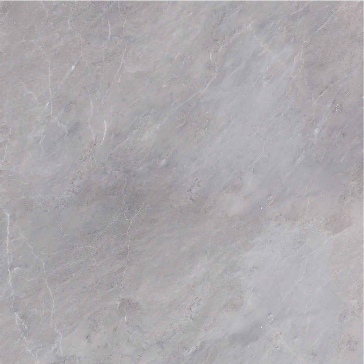 Earth Grey Honed 45 x 45 x 1.25 cm Field Tile 