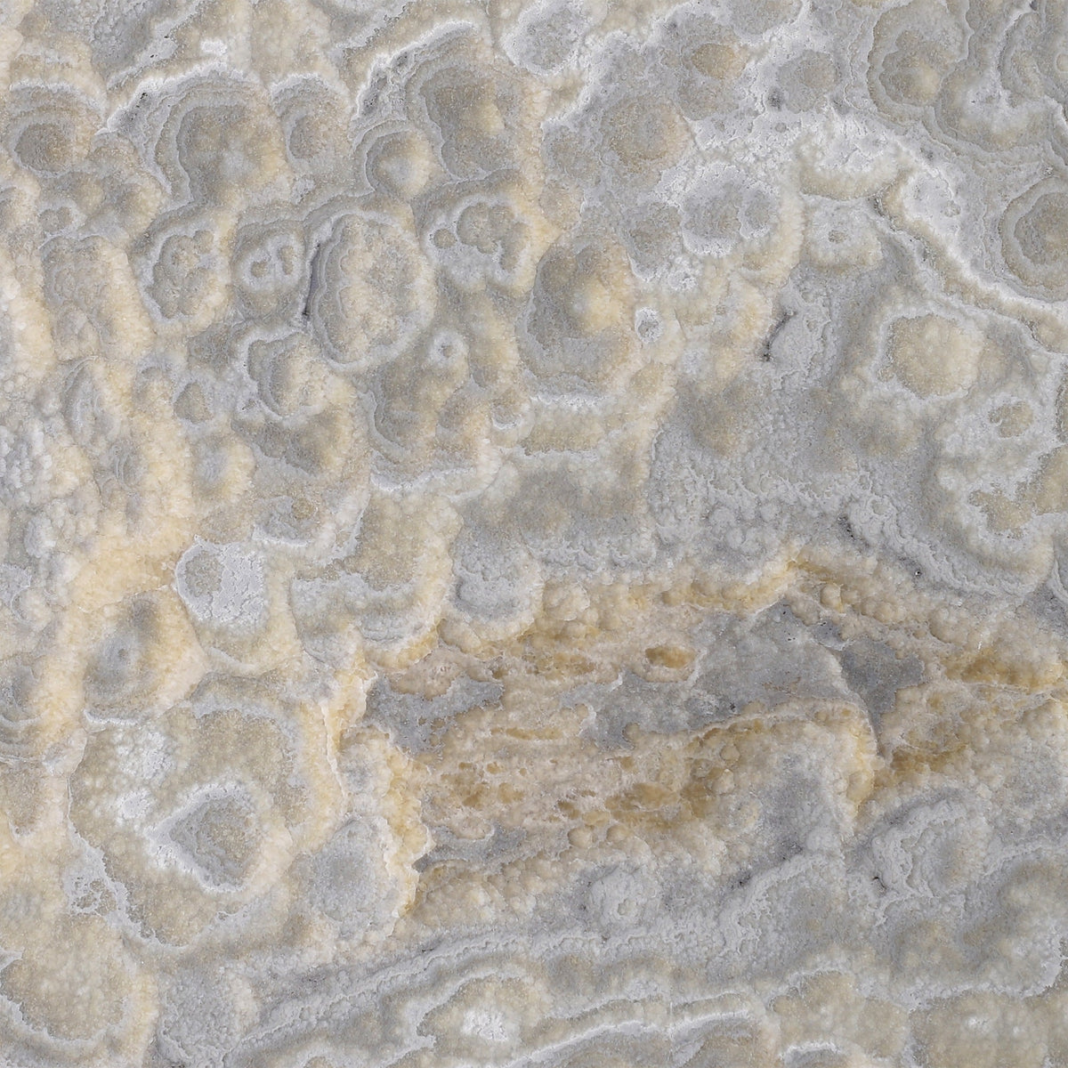 Dover Grey Onyx Polished 30 x 30 x 1 cm Field Tile 