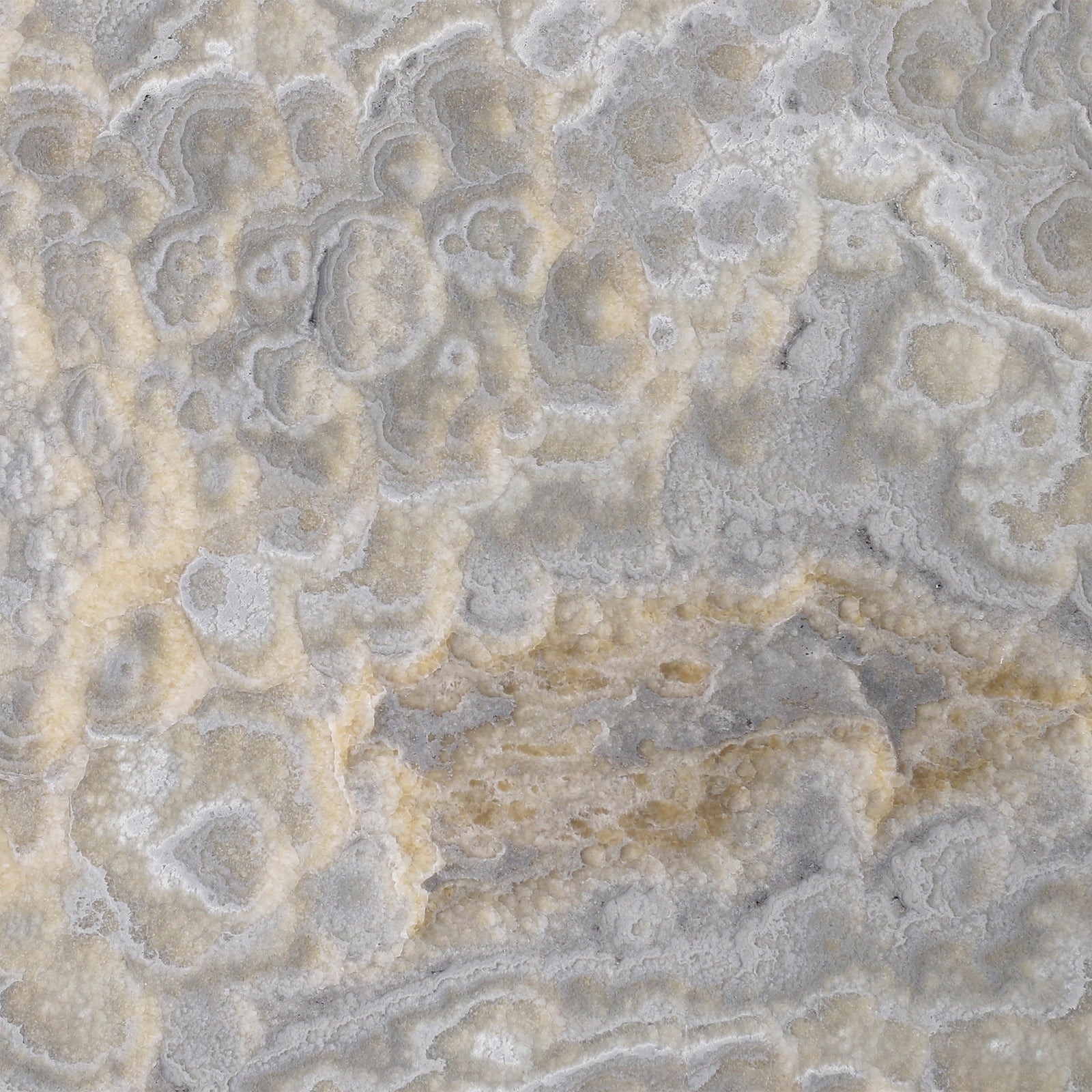 Dover Grey Onyx Polished 30 x 30 x 1 cm Field Tile 