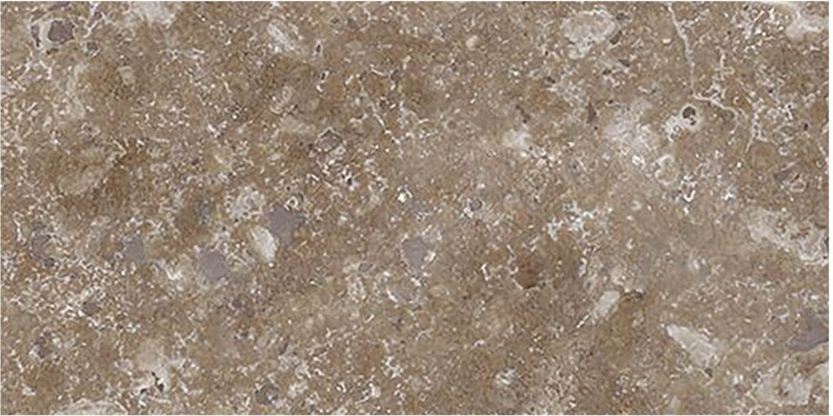Noce Dark CC Honed 7.5 x 15 x 1 cm Field Tile 