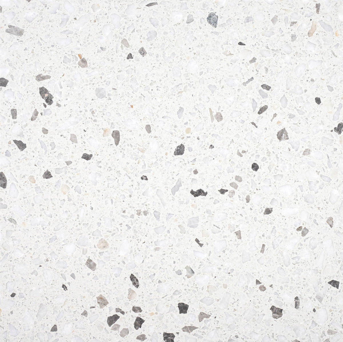 Biarritz White Honed 60 x 60 x 1.25 cm Terrazzo Field Tile #44 