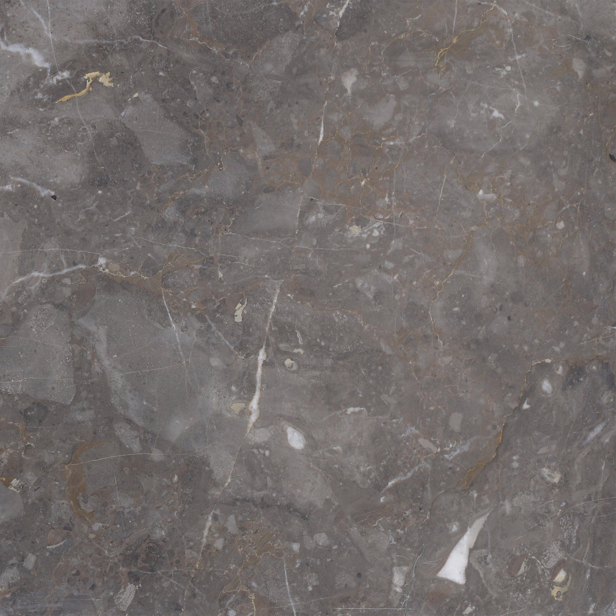 Caribbean Grey Honed 30 x 30 x 1.25 cm Field Tile 