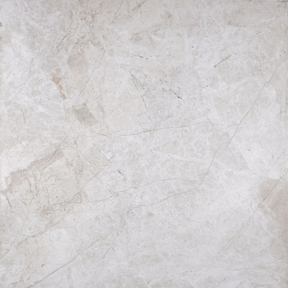 Cream Misto Honed 60 x 60 x 1.5 cm Field Tile 