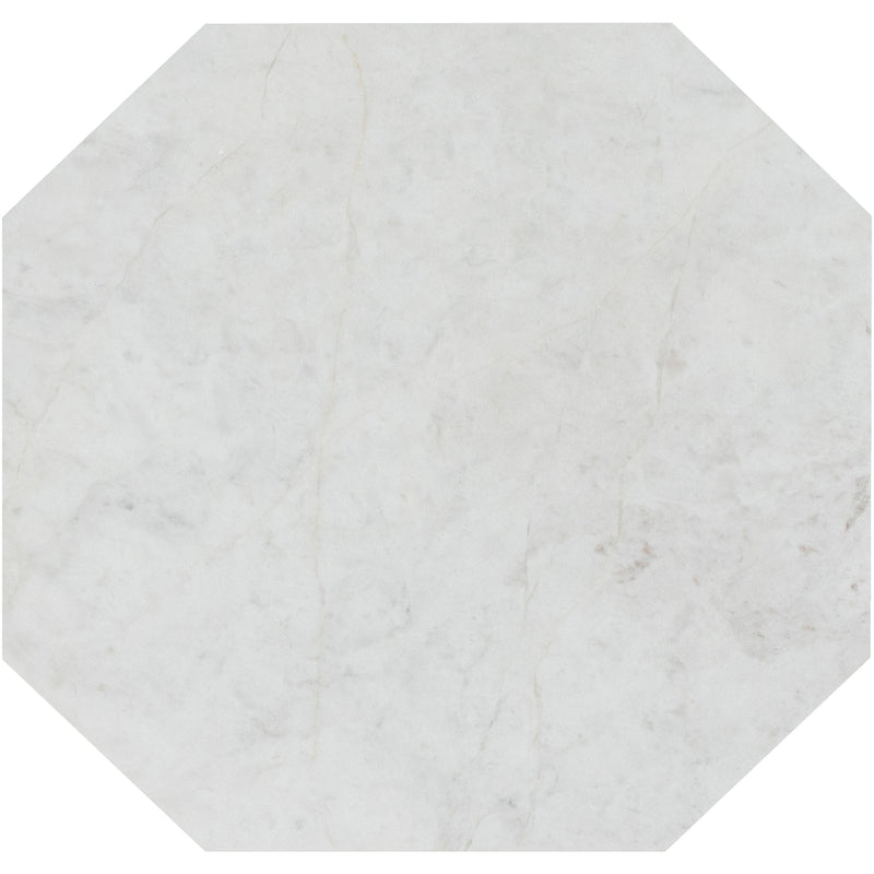 Elegantia Honed Octagon 30 x 1 cm Field Tile