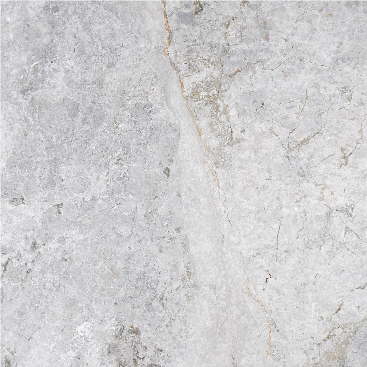 Tundra Blue Honed 45 x 45 x 1.5 cm Field Tile 