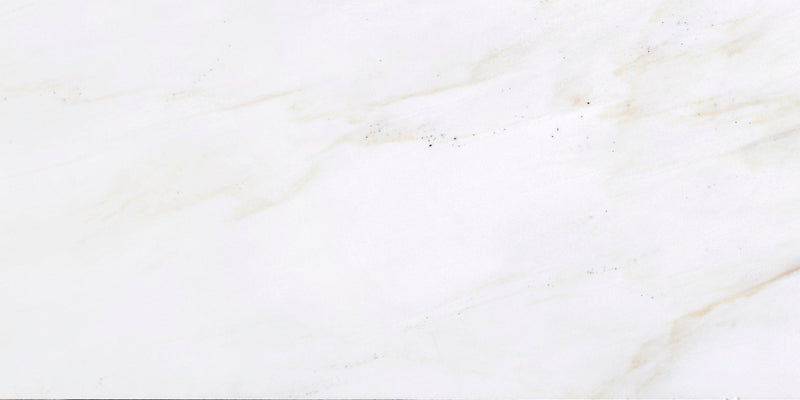 Cremo Delicato Honed 15 x 30 x 1 cm Field Tile
