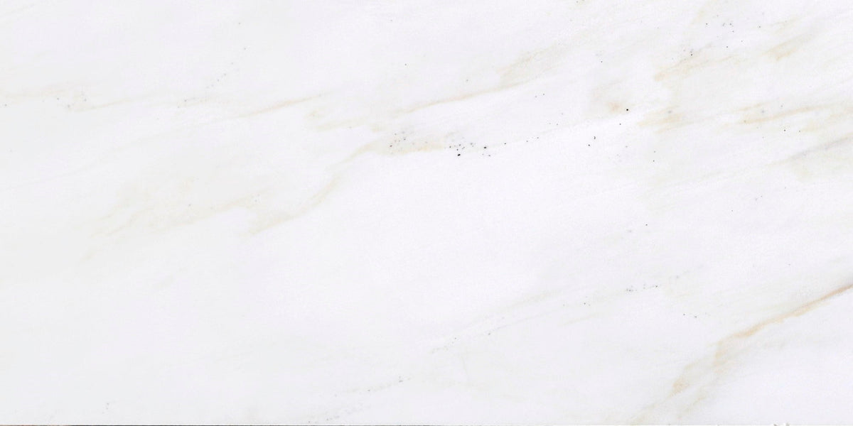 Cremo Delicato Honed 15 x 30 x 1 cm Field Tile 