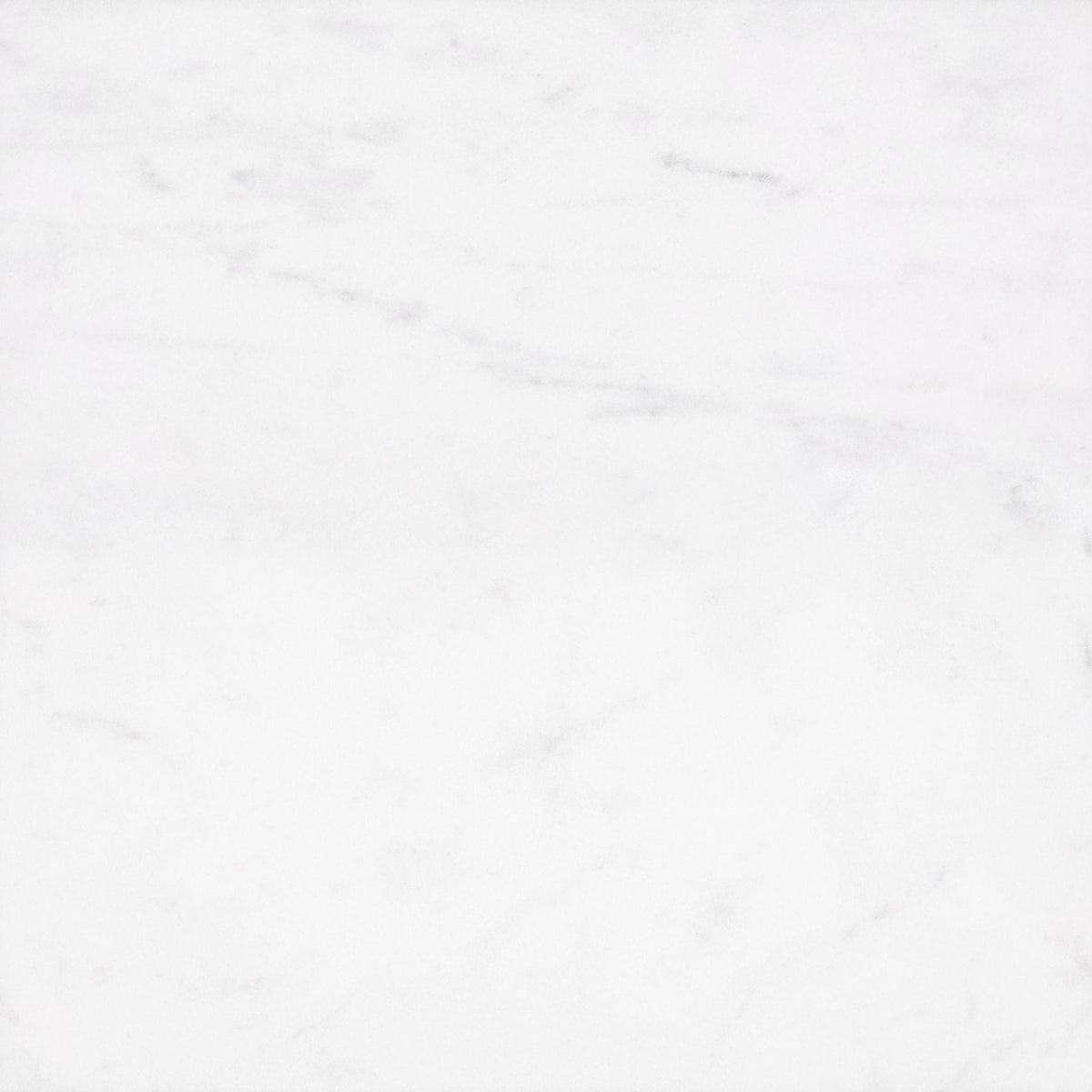 Alba Vera Honed 60 x 60 x 1 cm Field Tile 