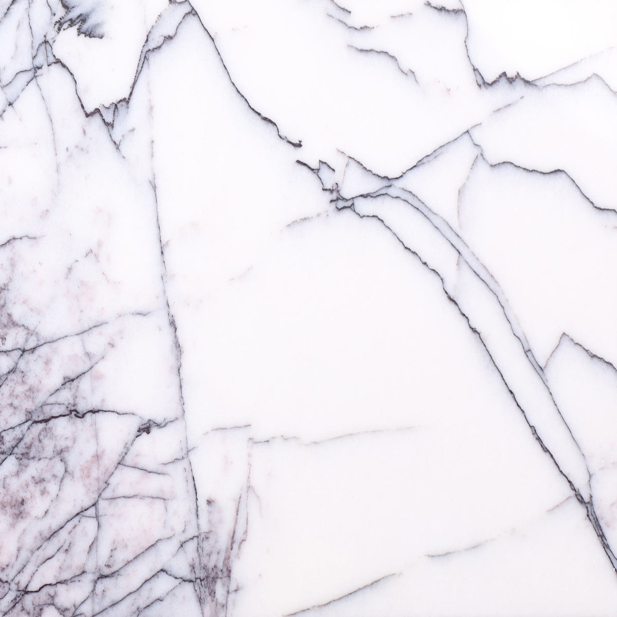 Violeta Polished 30 x 30 x 1 cm Field Tile 
