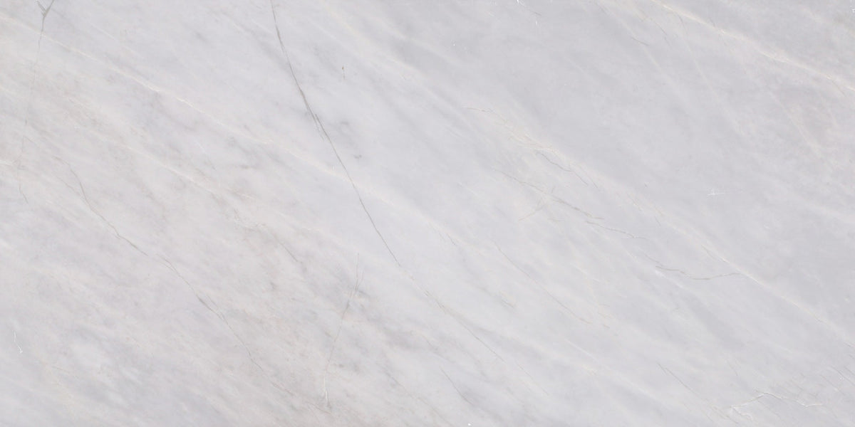 Ice Grey Polished 30 x 60 x 1.25 cm Field Tile 