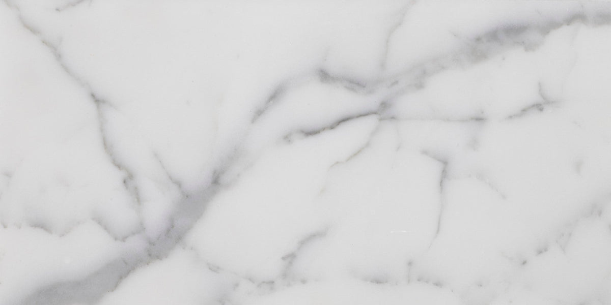 Statuario Extra Honed 15 x 30 x 1 cm Field Tile 