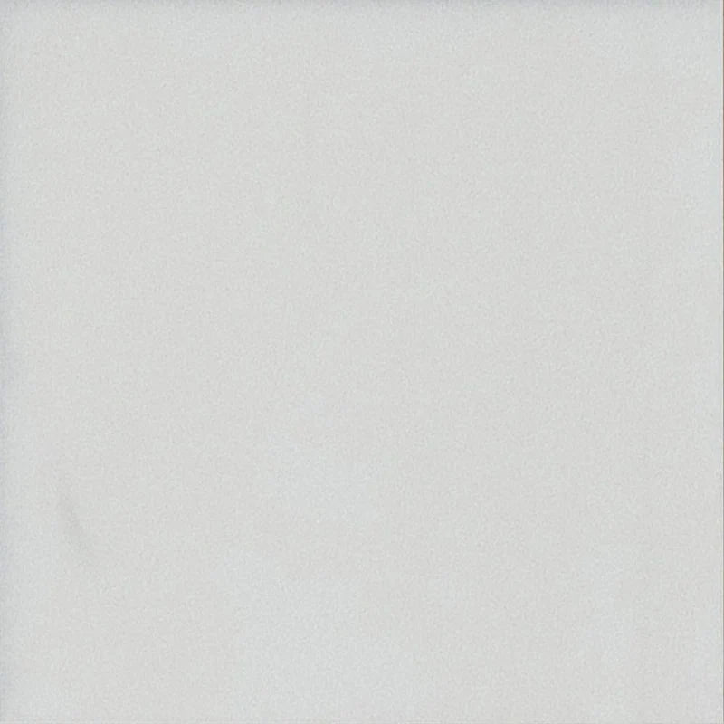 Glacier White Honed 10 x 10 x 1 cm Field Tile 