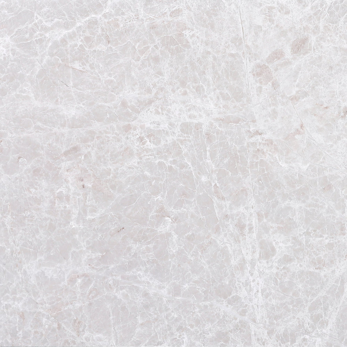 Vanillish Pearl Honed 30 x 30 x 1 cm Field Tile 