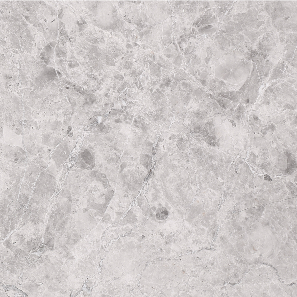 Tundra Grey Honed 40 x 40 x 1.5 cm Field Tile 