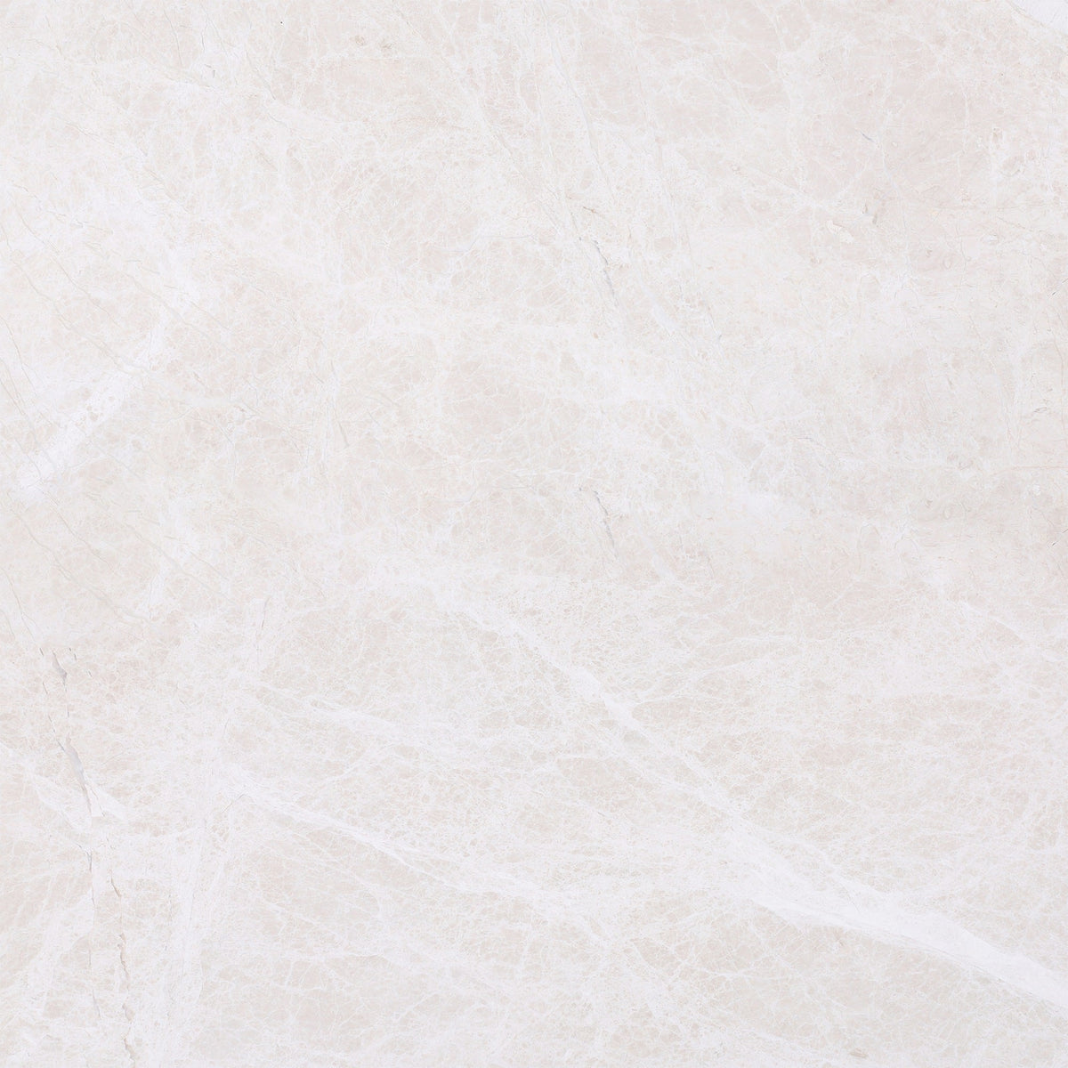 Vanillish Pearl Honed 60 x 60 x 1.5 cm Field Tile 