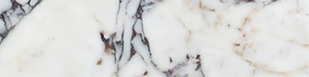 Calacatta Viola Honed 7.5 x 30 x 1 cm Field Tile 