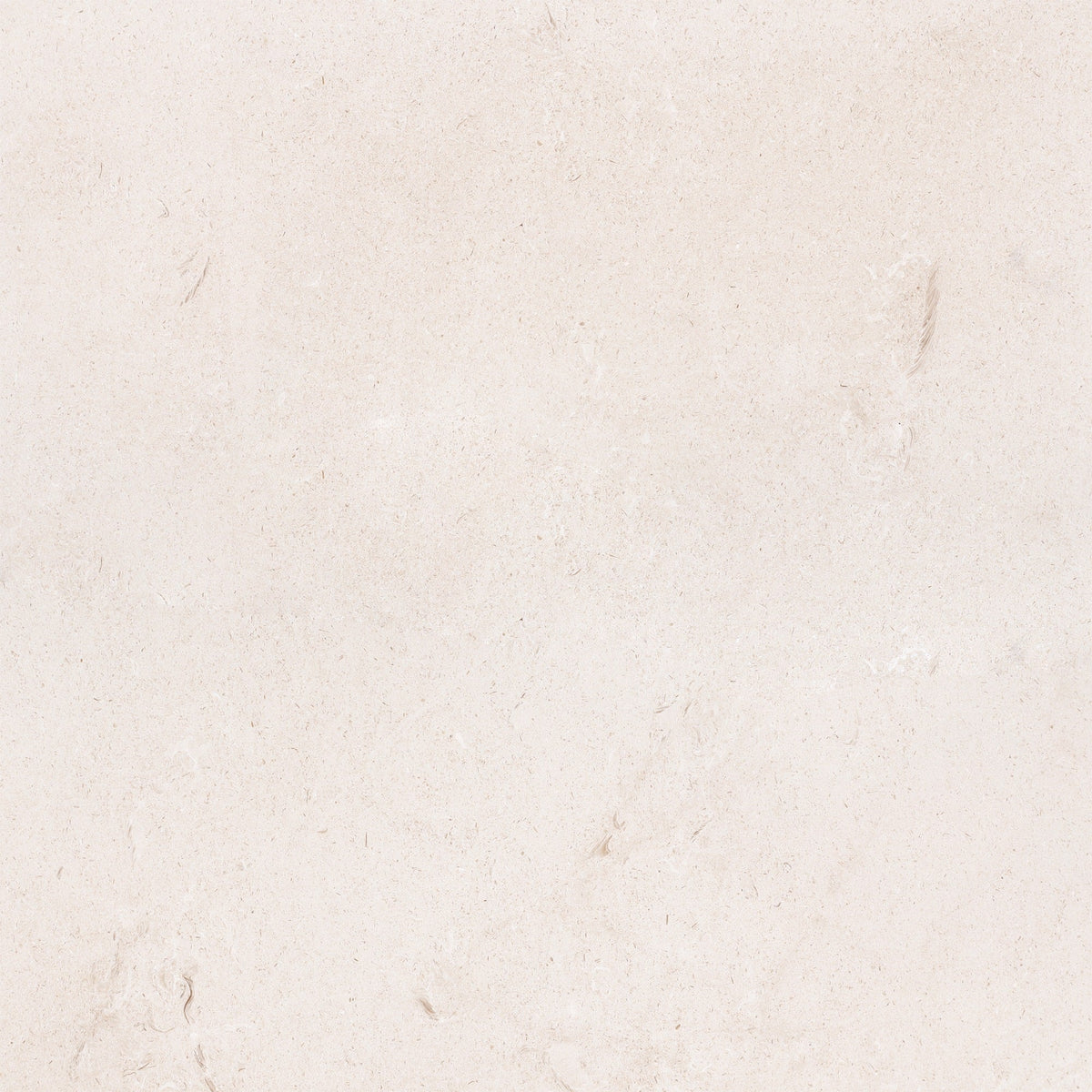 Simena Honed 60 x 60 x 1.25 cm Field Tile 