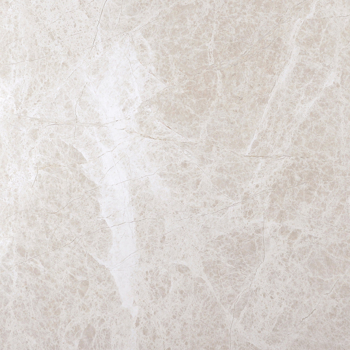 Vanillish Pearl Honed 45 x 45 x 1.5 cm Field Tile 