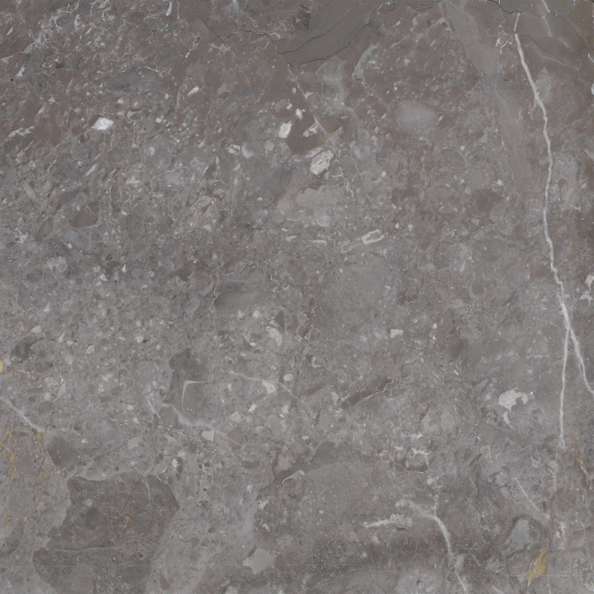 Caribbean Grey Honed 30 x 30 x 1.25 cm Field Tile 