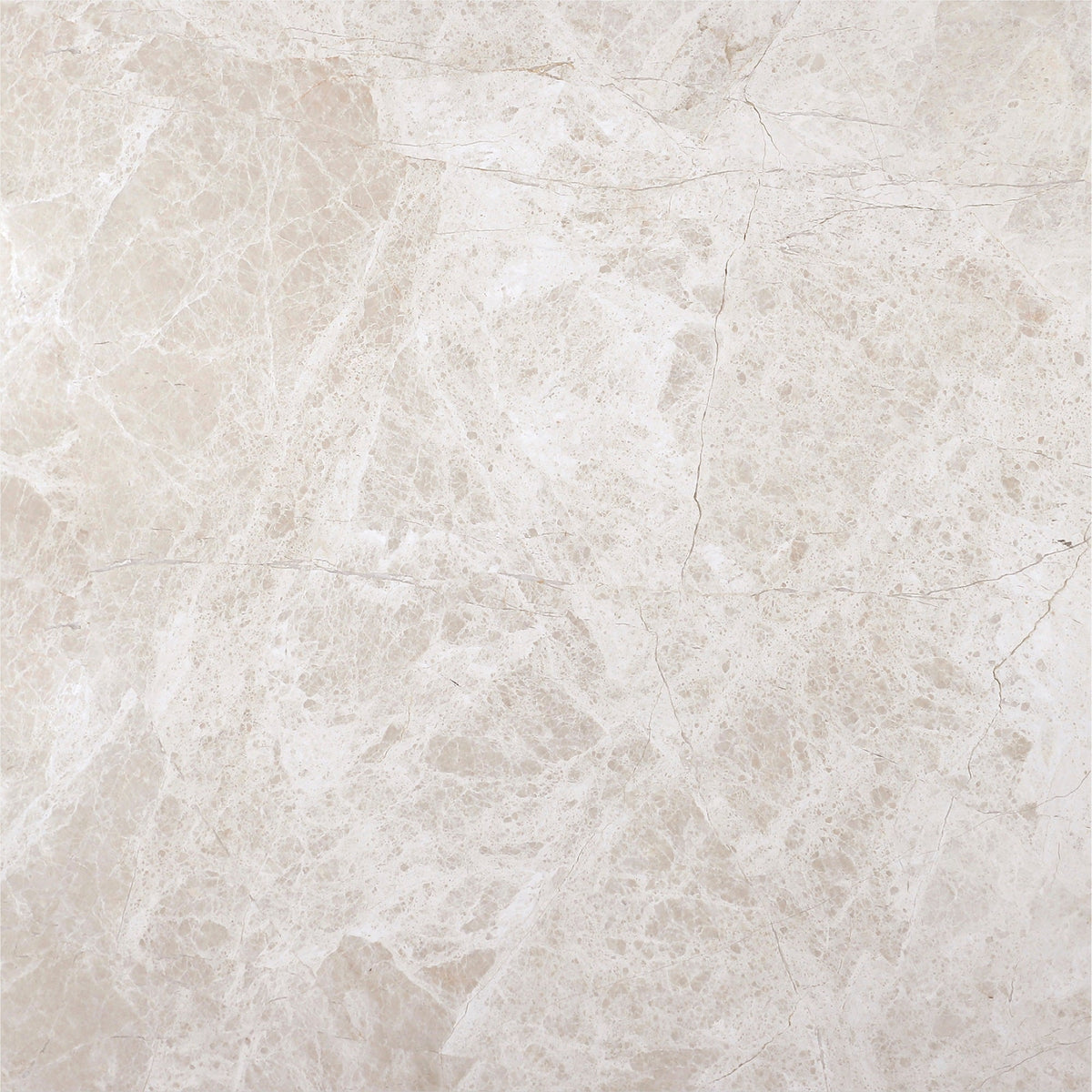 Vanillish Pearl Honed 45 x 45 x 1.5 cm Field Tile 