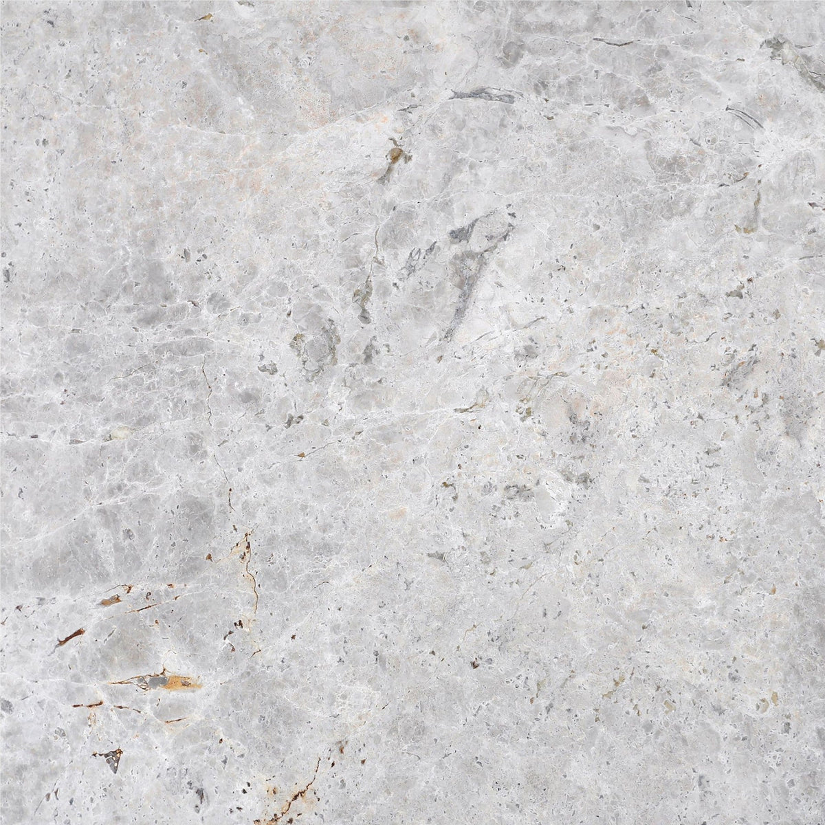 Tundra Blue Honed 45 x 45 x 1.5 cm Field Tile 