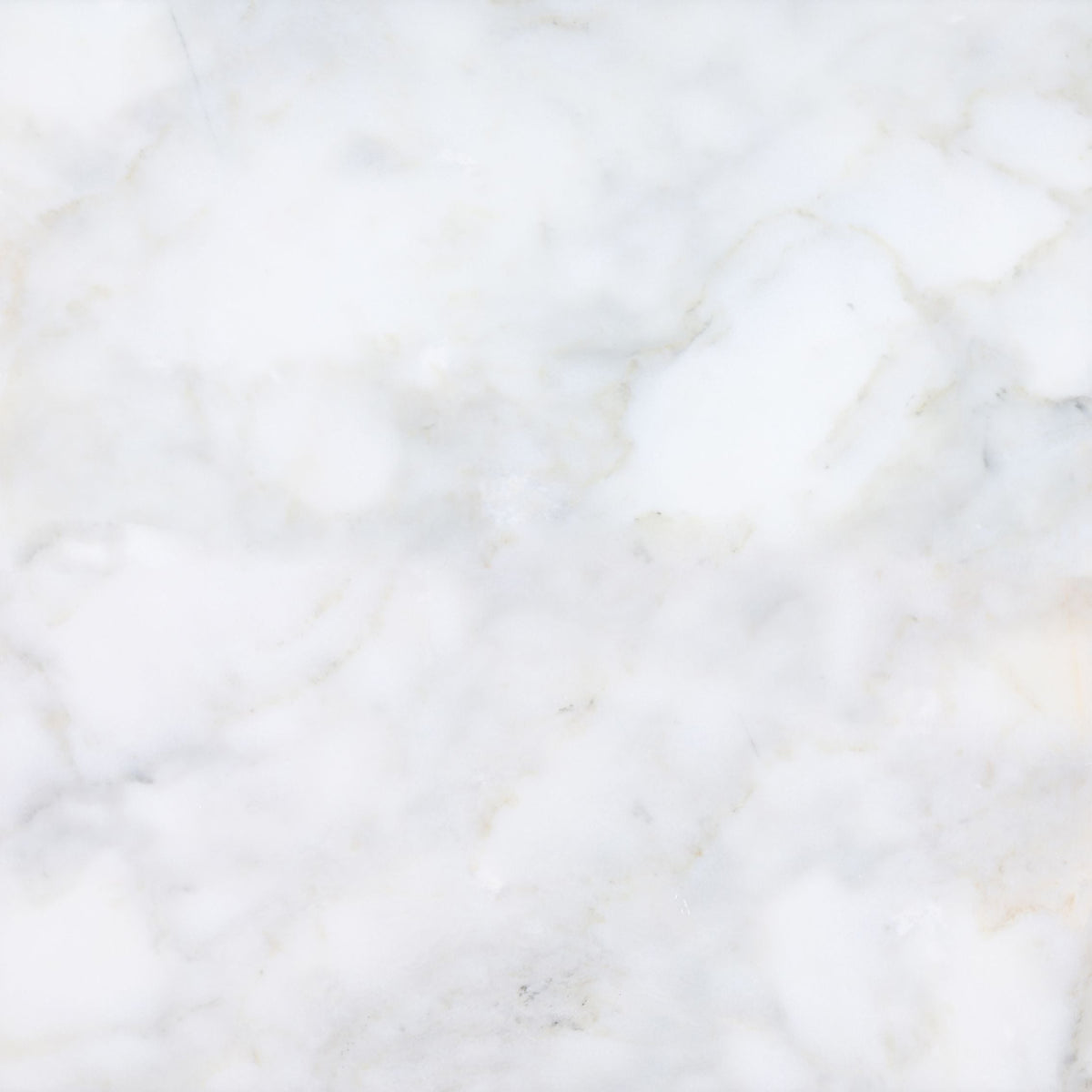Calacatta Vida Honed 60 x 60 x 1.25 cm Field Tile 